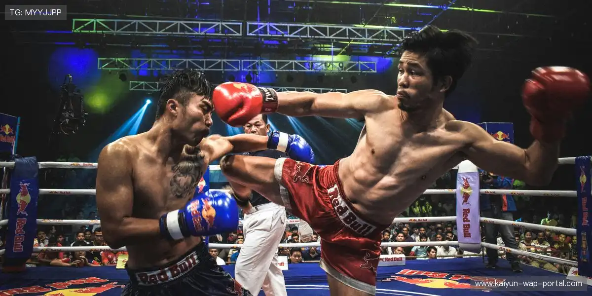 体育内容结构保持精准输出